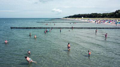 Amoxicillin ohne rezept kaufen